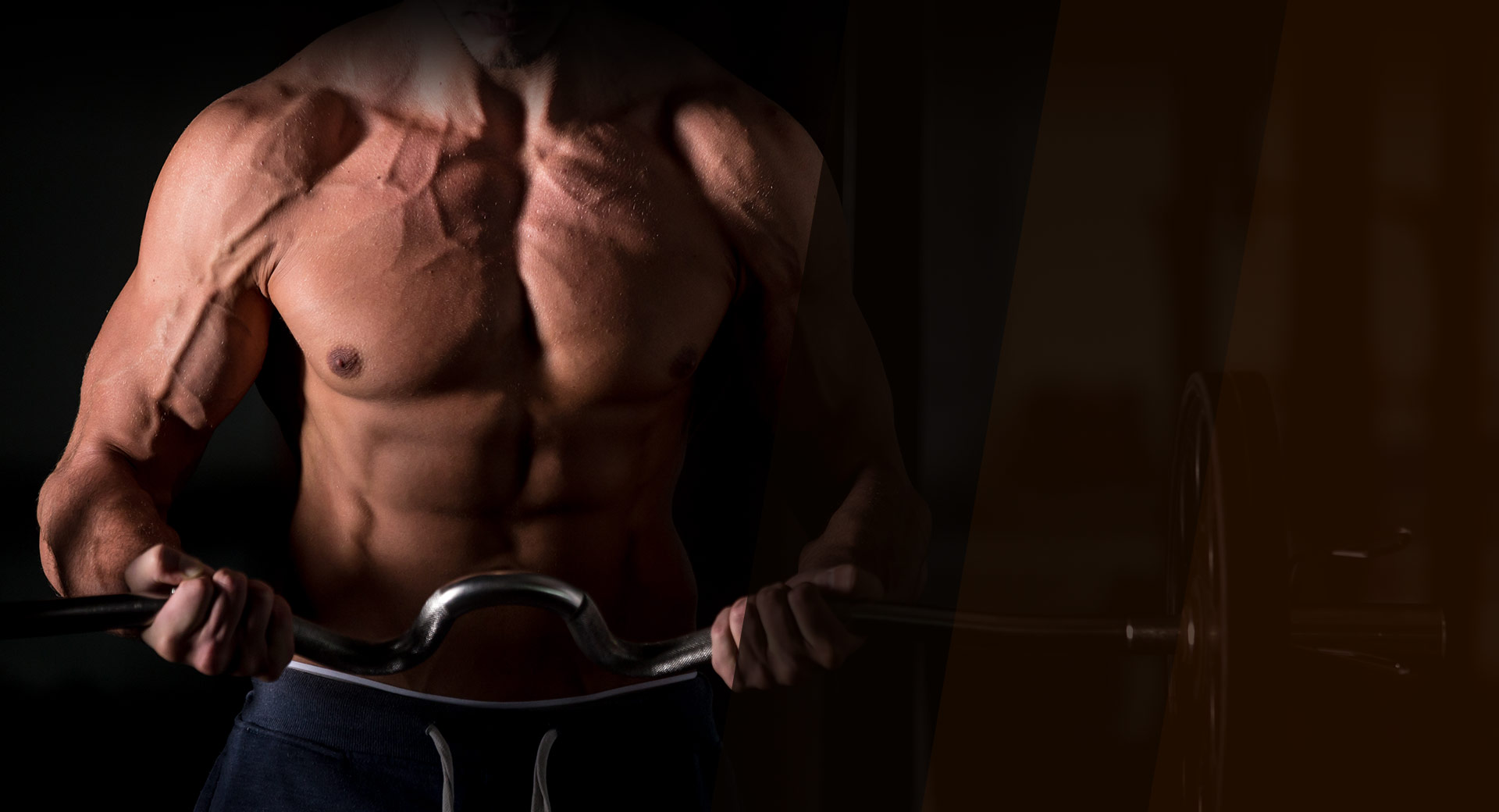 Transform Your Body, Transform Your Life